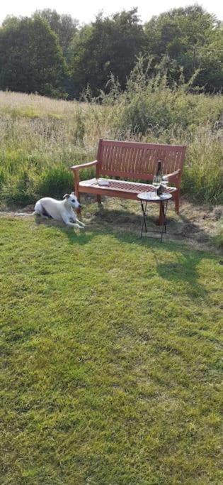 Athelas, Self Catering Holiday home Whitby