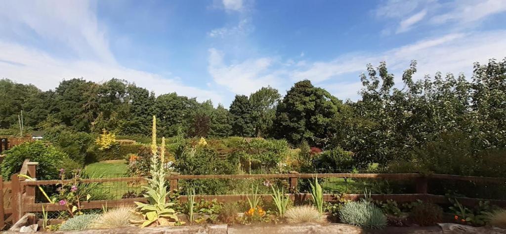 Athelas, Self Catering Holiday home